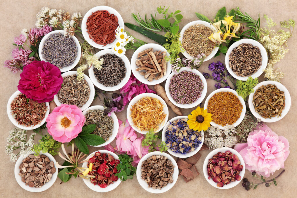 ayurvedic herbs and spices
